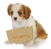 hond met just learning bordje