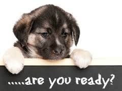 Puppy Checklist