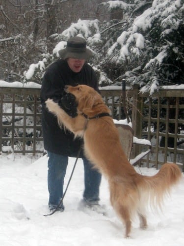 Hond springt tegen mensen op