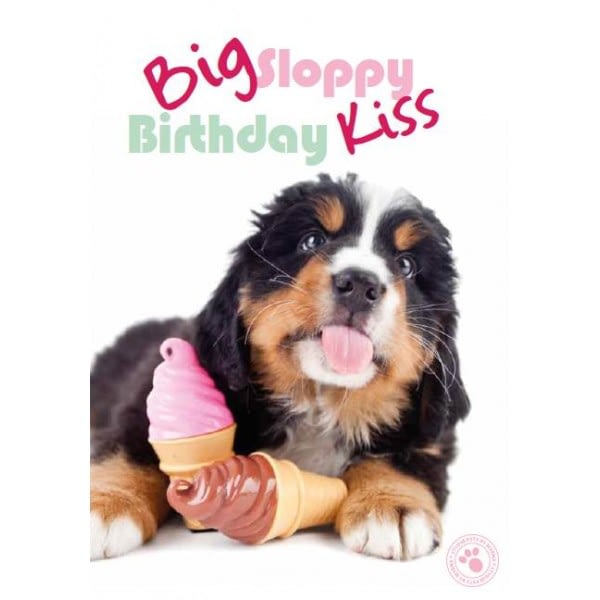 De 5 leukste cadeautjes voor jouw Hond