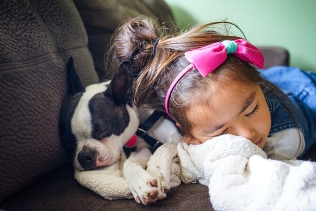 Kindvriendelijke hond